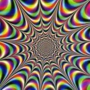 Meet your Posher, Bruce